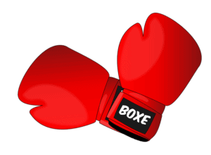 Boxing glove | Denwasensei